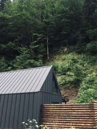 Шале BagriWood Lodges (Лоджі БагріВуд) Яремче Шале с одной спальней-19