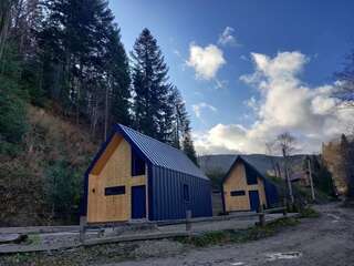 Шале BagriWood Lodges (Лоджі БагріВуд) Яремче Шале с одной спальней-35