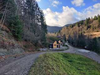 Шале BagriWood Lodges (Лоджі БагріВуд) Яремче Шале с одной спальней-4